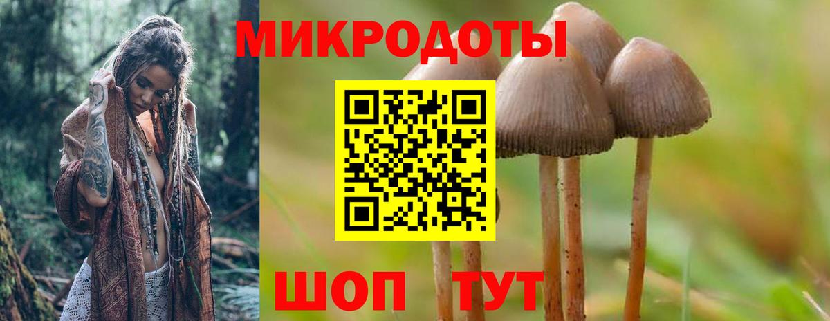Псилоцибиновые грибы Psilocybine cubensis  Галлюциногенные грибы мухоморы  Вход с VPN  Красный Сулин 